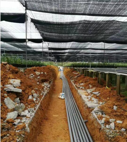 從化蘭花基地工程